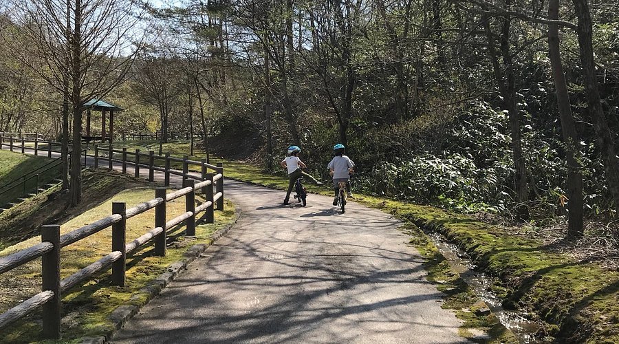 🏞️ 아키타시 태평산 리조트 공원 이미지 1